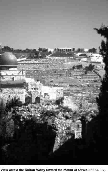View across the Kidron Valley toward the Mount of Olives
